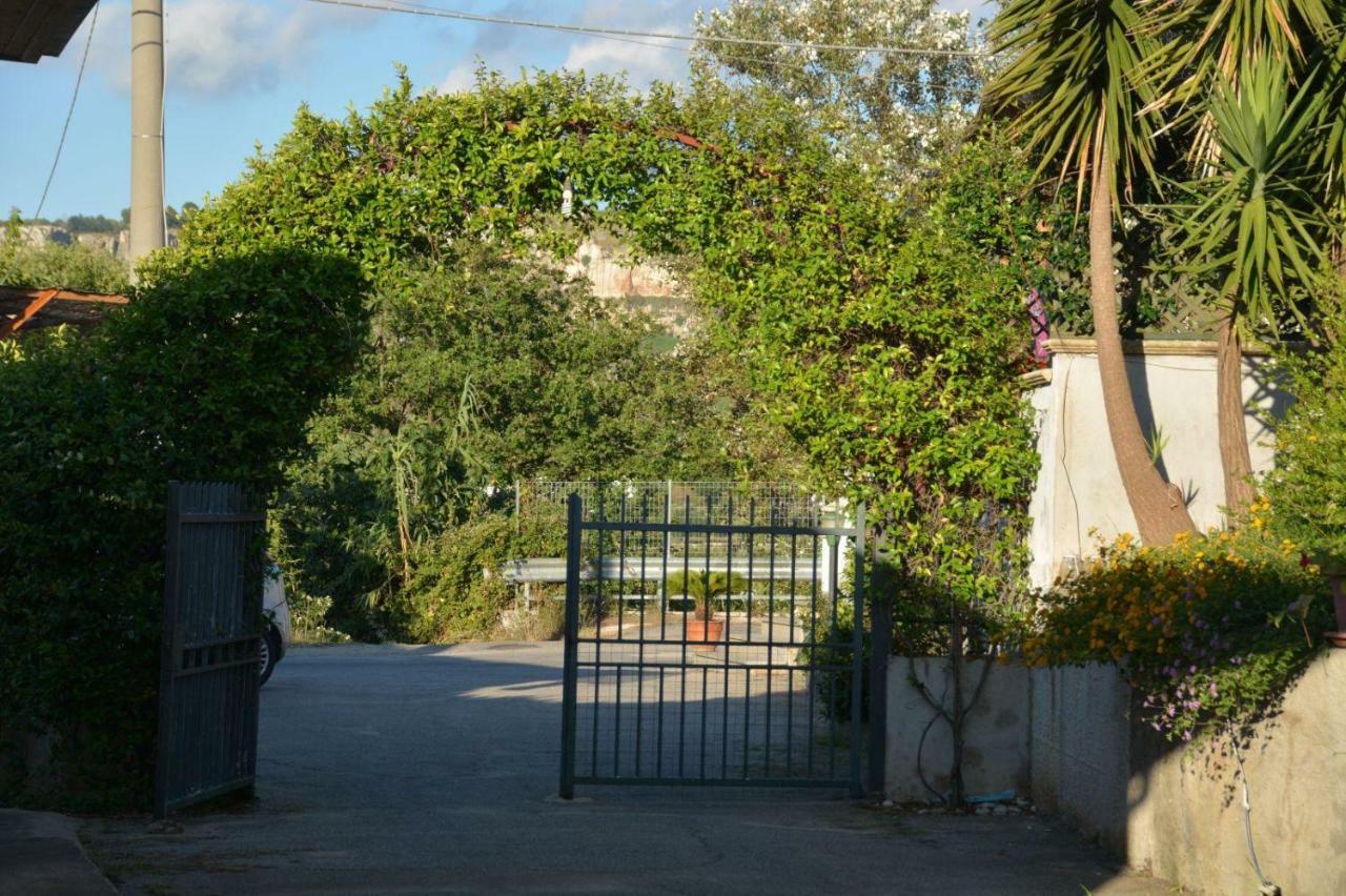 B&B Collemare Drapia Esterno foto