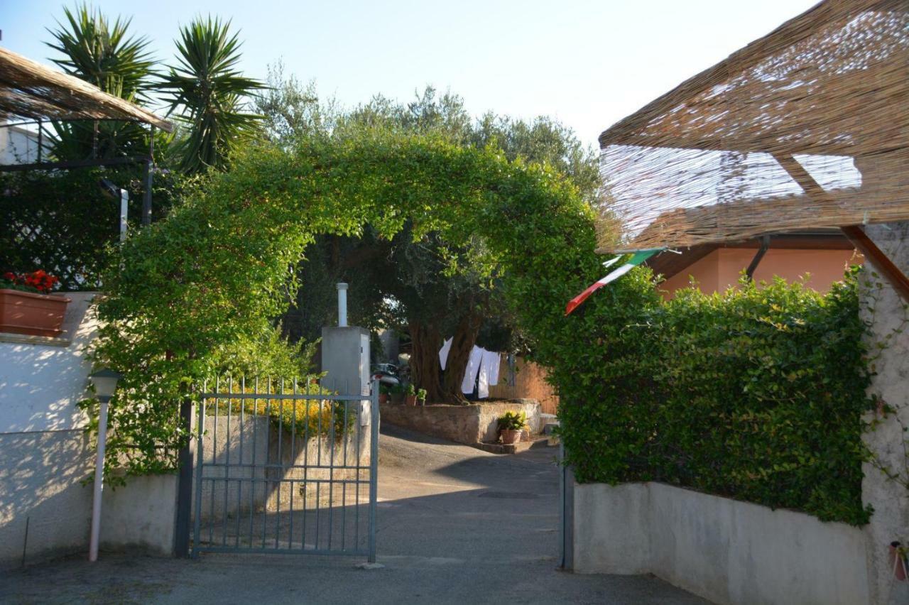 B&B Collemare Drapia Esterno foto